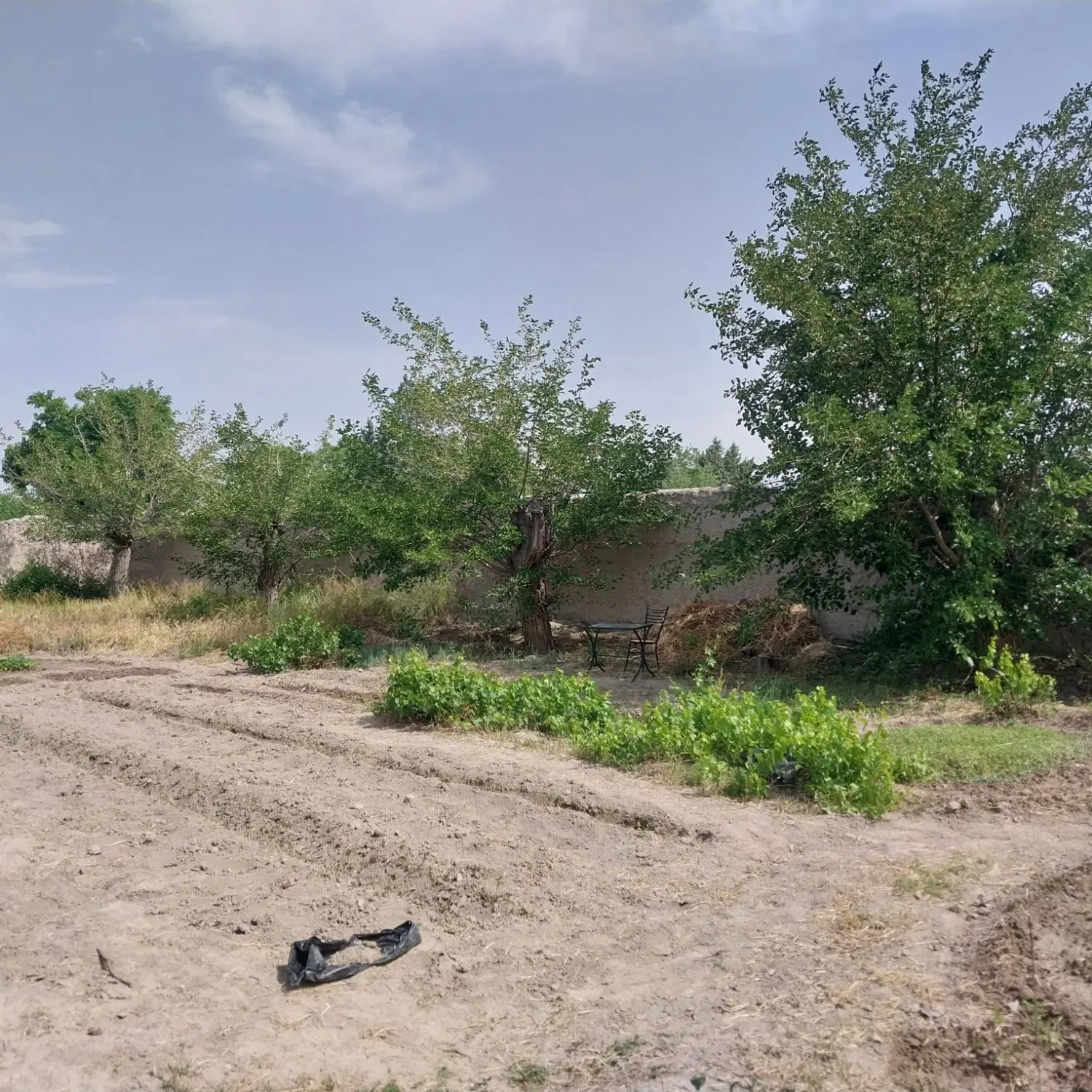 زمین در گلبهار دارای سند ششدانگ