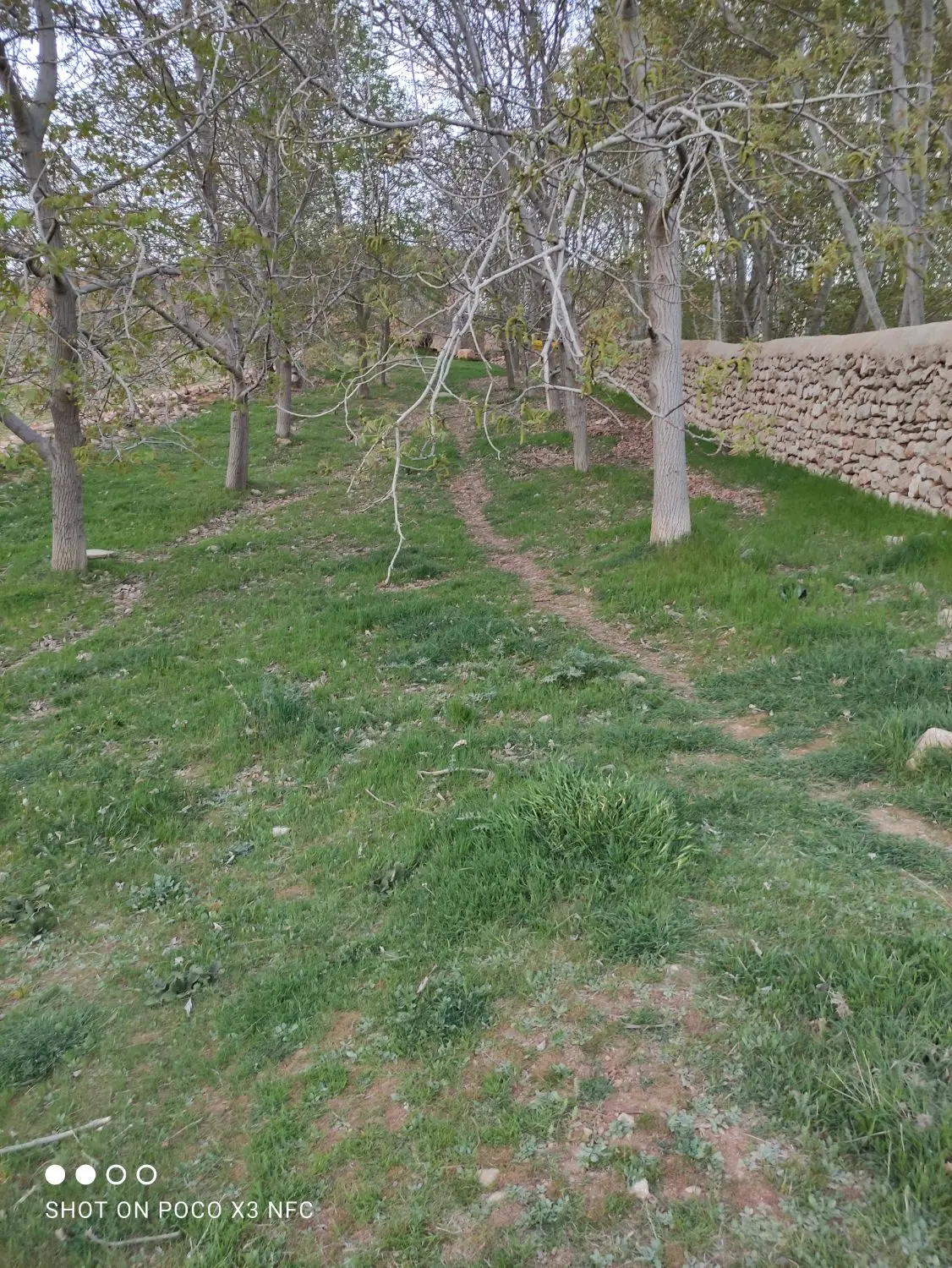 باغچه 500 متری در سپیدان روستای برشنه