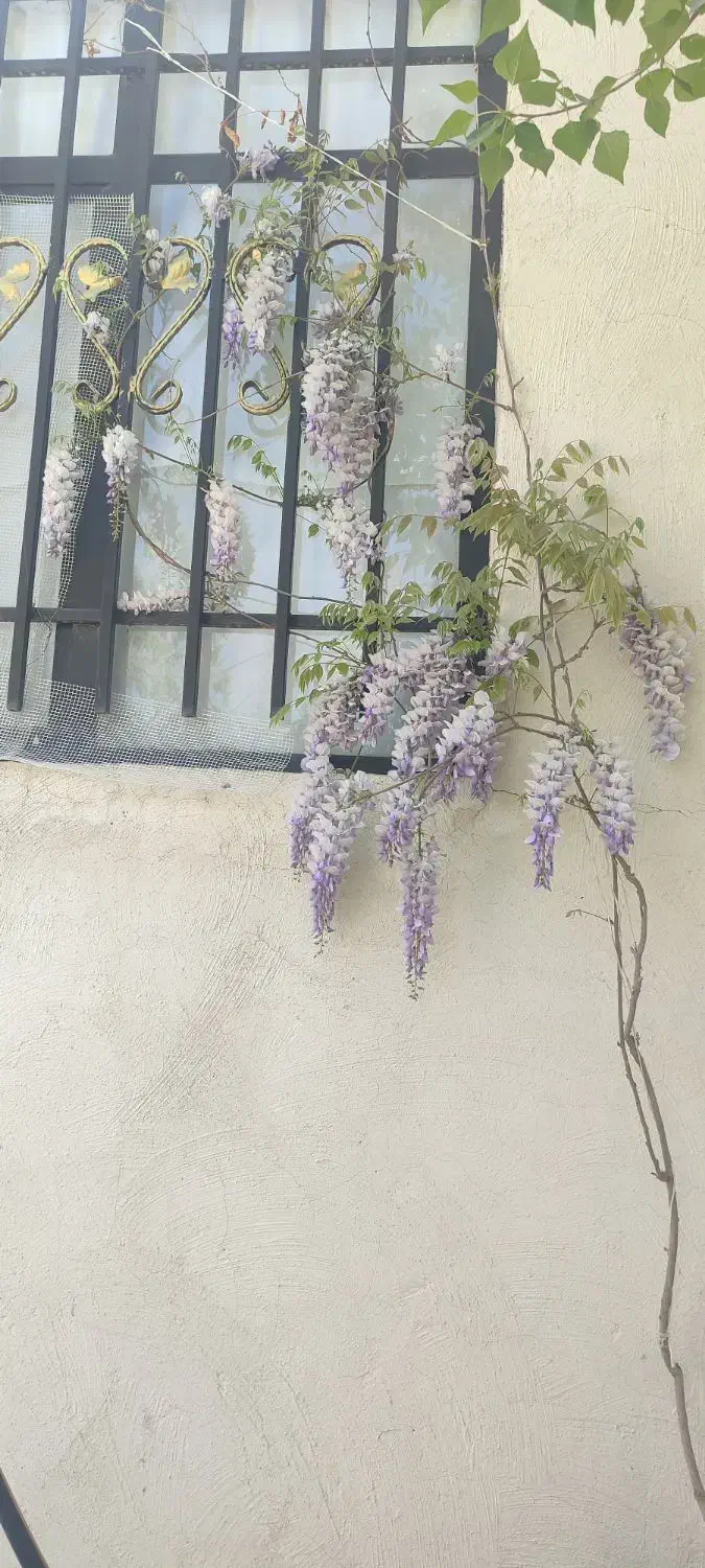 انبار و کارگاه ۱۰۰۰ متری نزدیک بازار