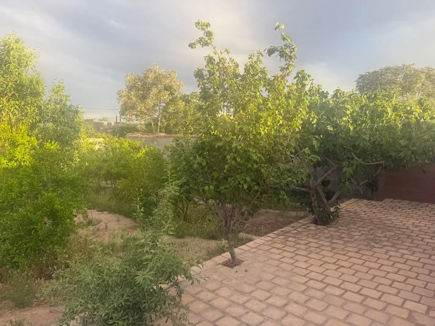 باغ