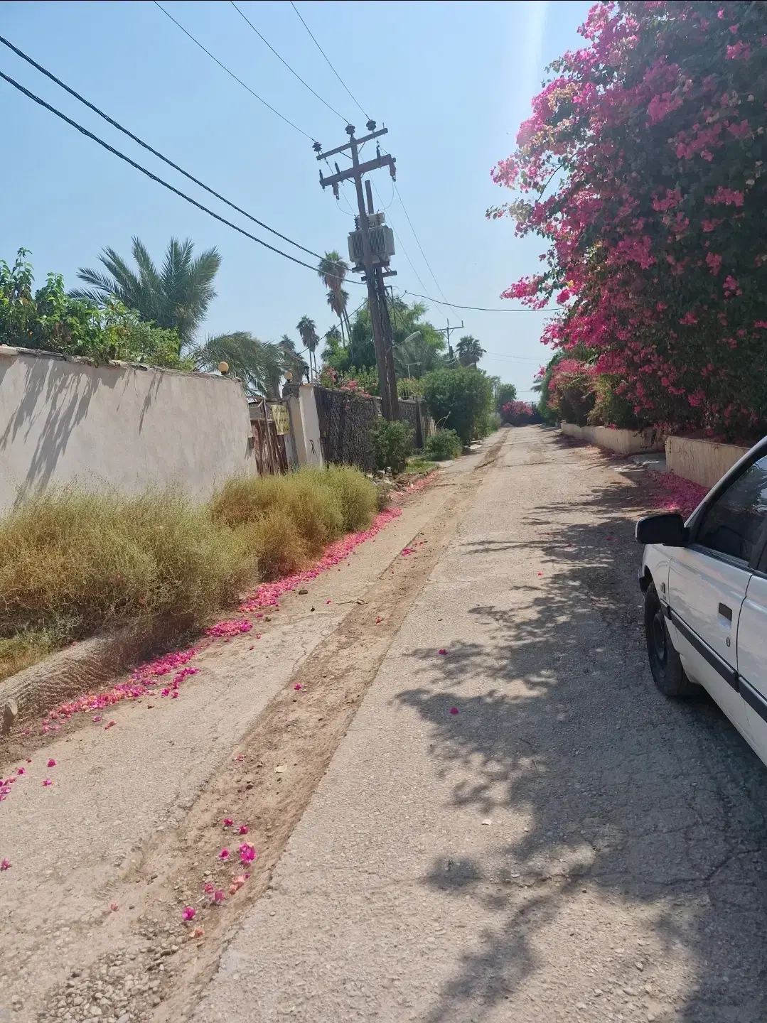 ویلا باغ ۸۵۰ متری  آوان