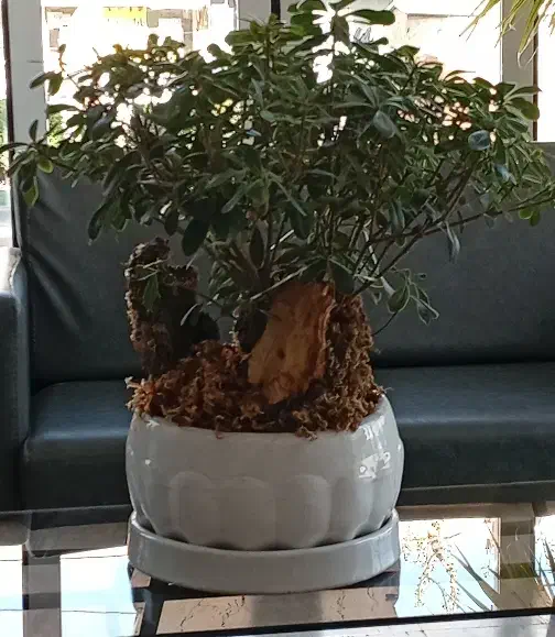 ۱۲۷متر_۳خواب_تک واحدی_فضای سبز