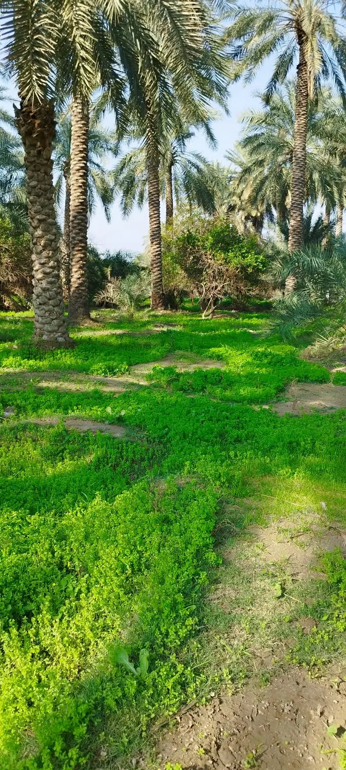 فروش مغازه