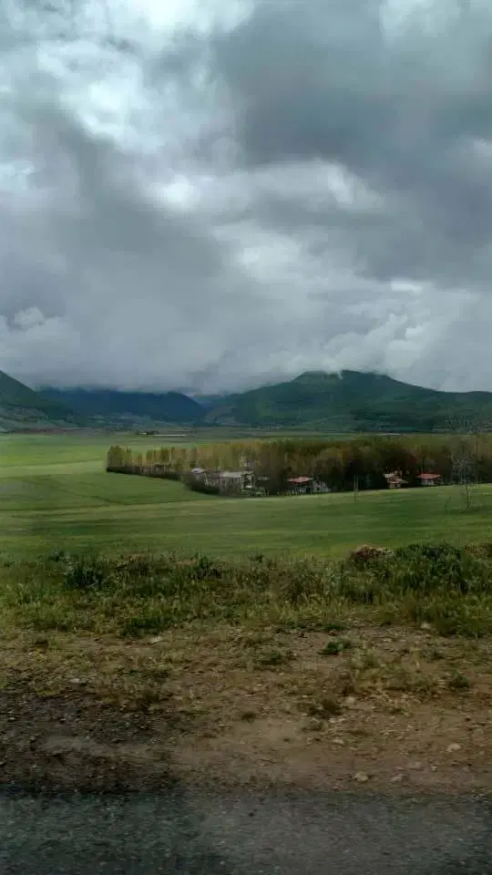 زمین کجور روستای لاشک