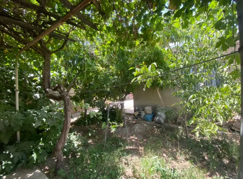 خانه ویلایی به متراژ ۳۱۸ متر واقع در تنکمان