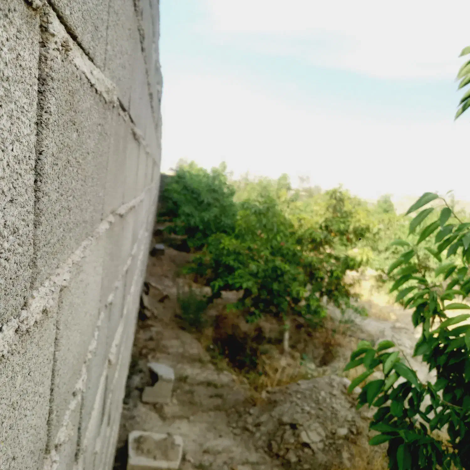 باغچه شهرکی چهار دیواری
