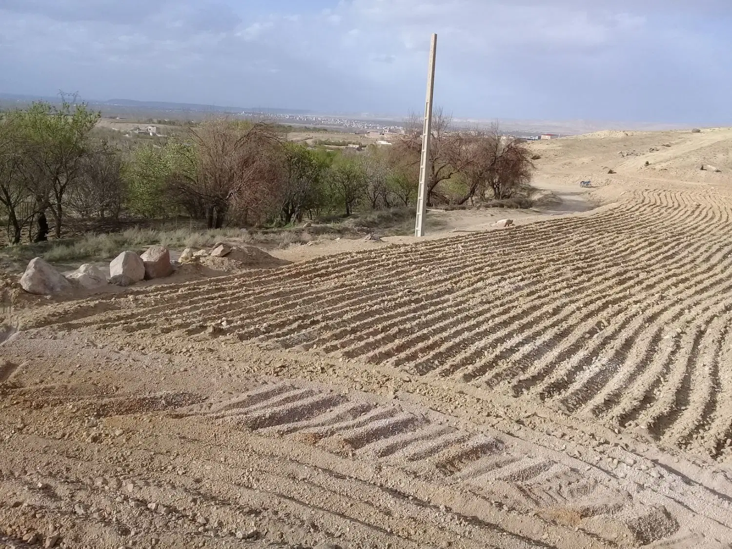 زمین کشاورزی ،آذرشهر،روستای نادیلو