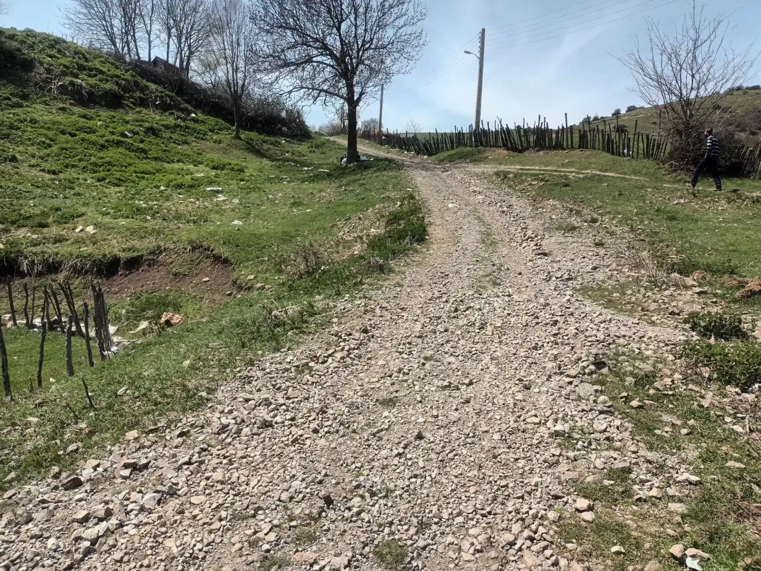 زمین باغی دیلمان