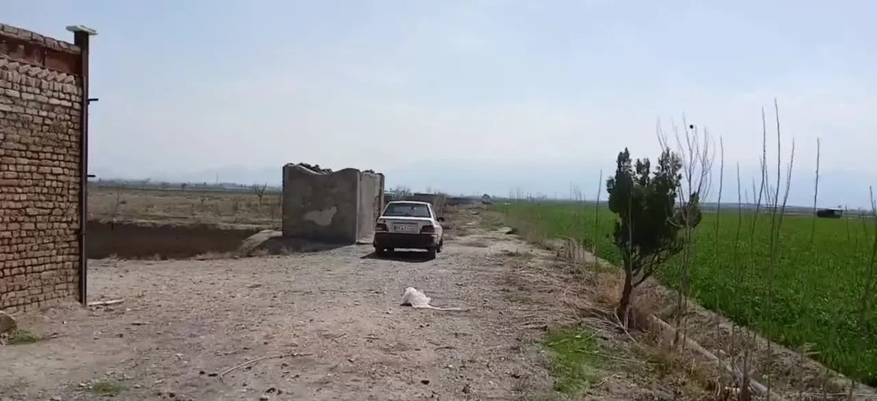 باغ میوه زمین کشاورزی پربار