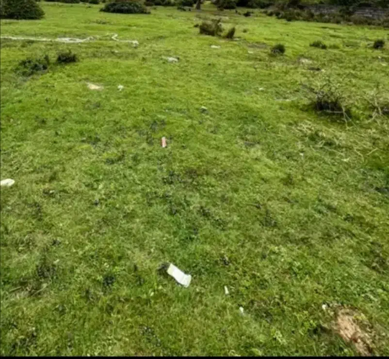 زمین مسکونی 250 متری
