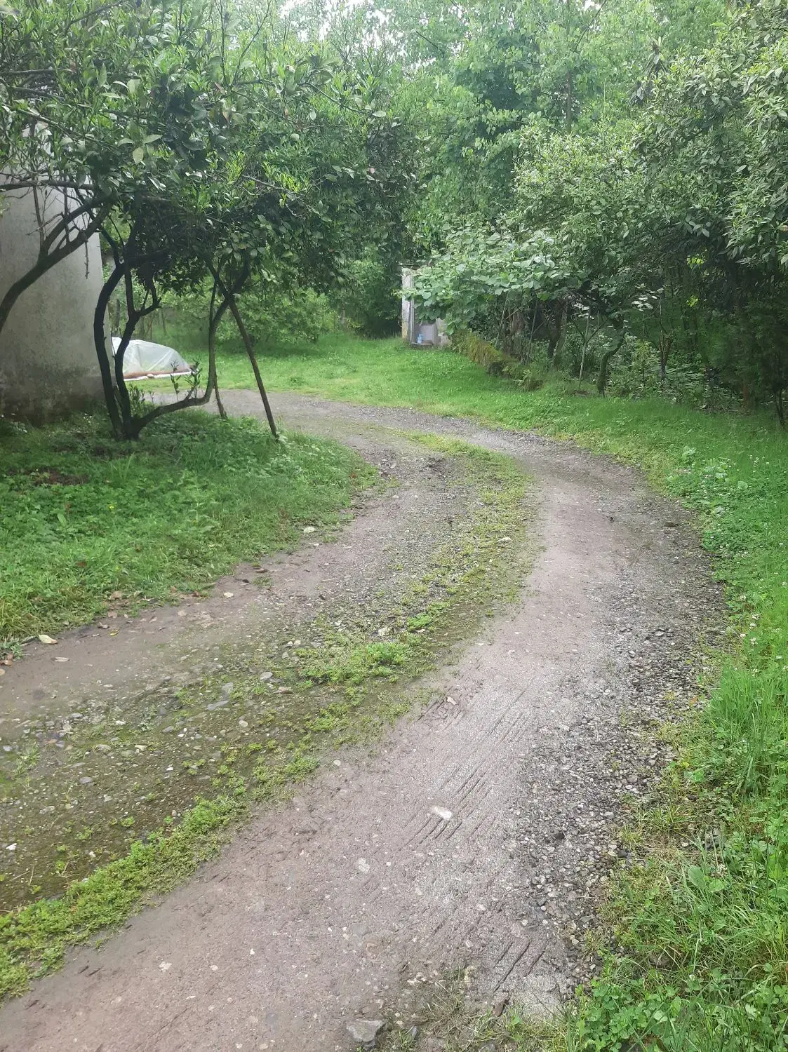 سویت جای دنج وآرام کنار  رودخانه وباغ