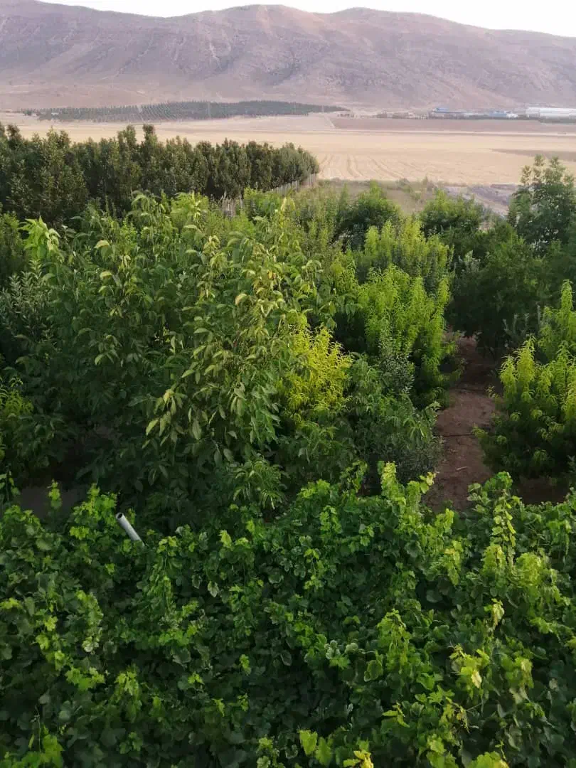 فروش باغ پردیس ملوسجان