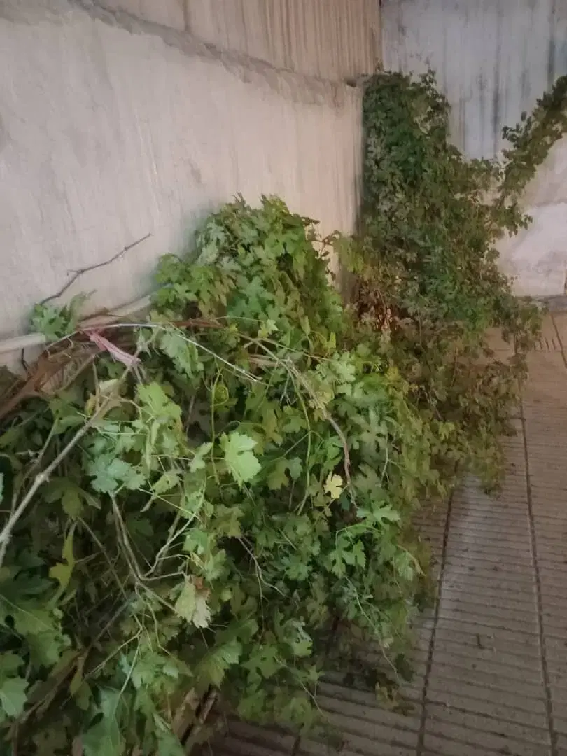 کیانشهر همکف ویلایی یکخوابه دربست چندمنظوره