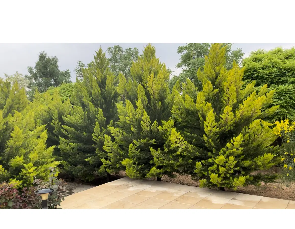 معاوضه ویلا باغ با مغازه یا زمین کارگاهی