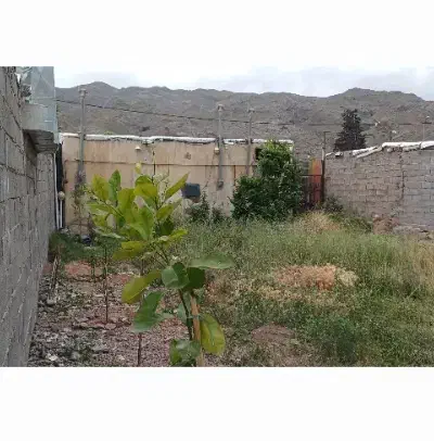 سه باب مغازه تجاری 368 متر سند تک‌برگ شش دانگ
