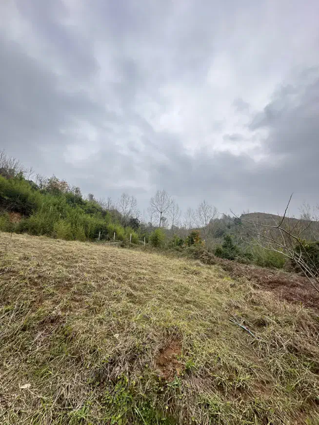 ۲۰۰ متر مسکونی سوستان کوهپایه