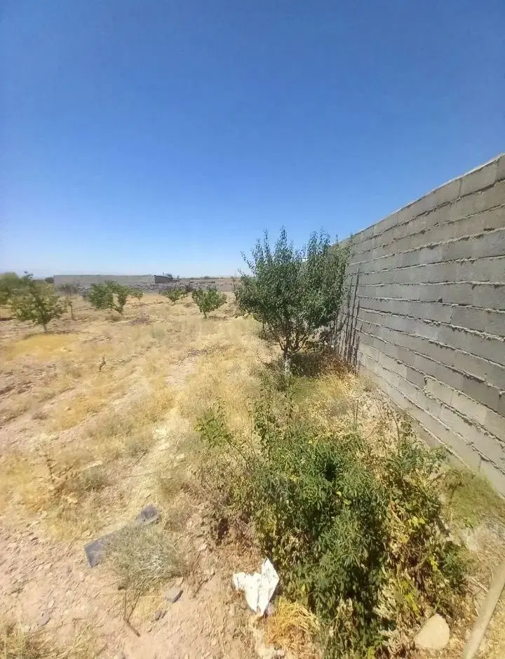 زمین باغی