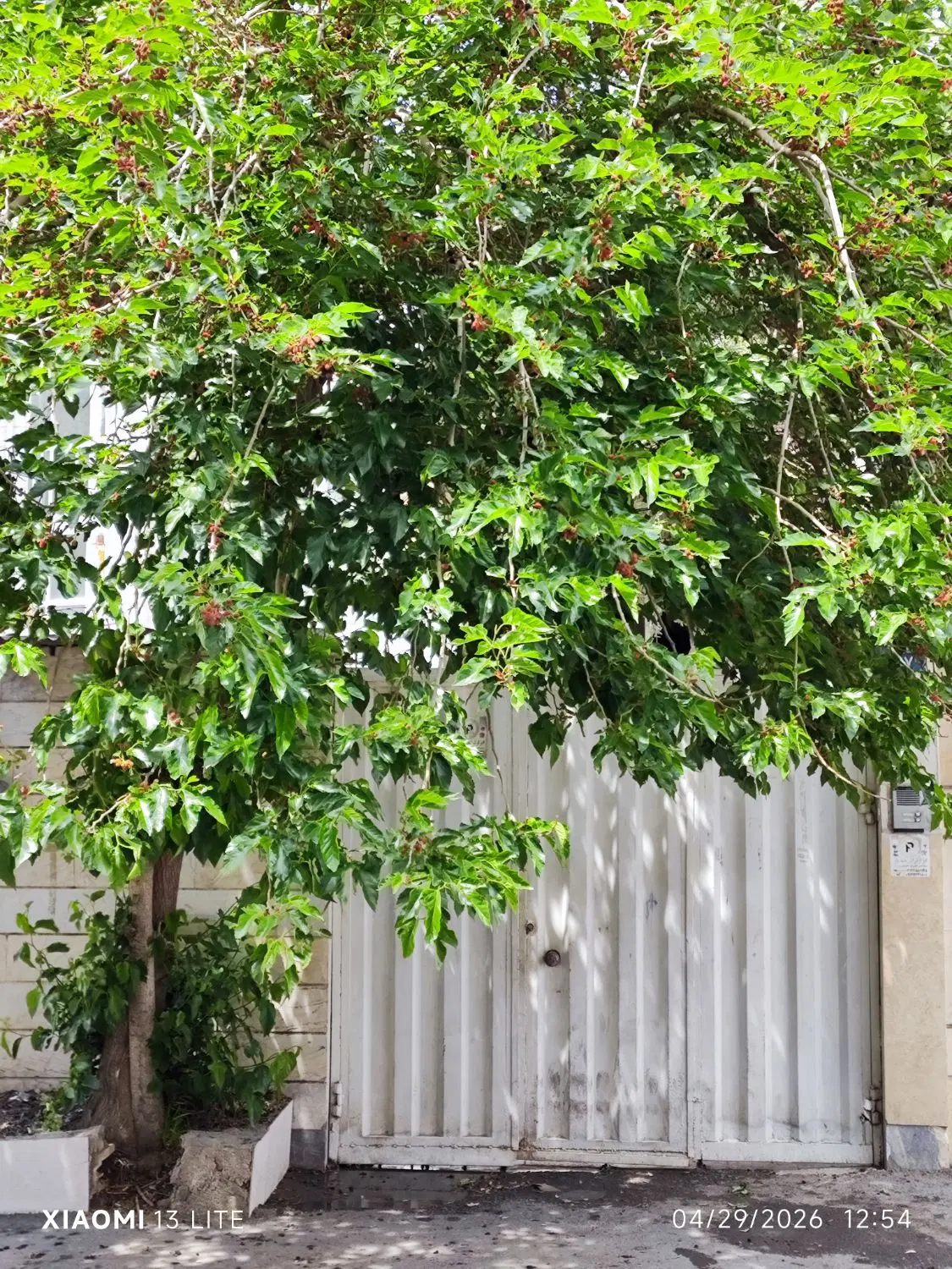خانه ویلایی ۹۰ متری