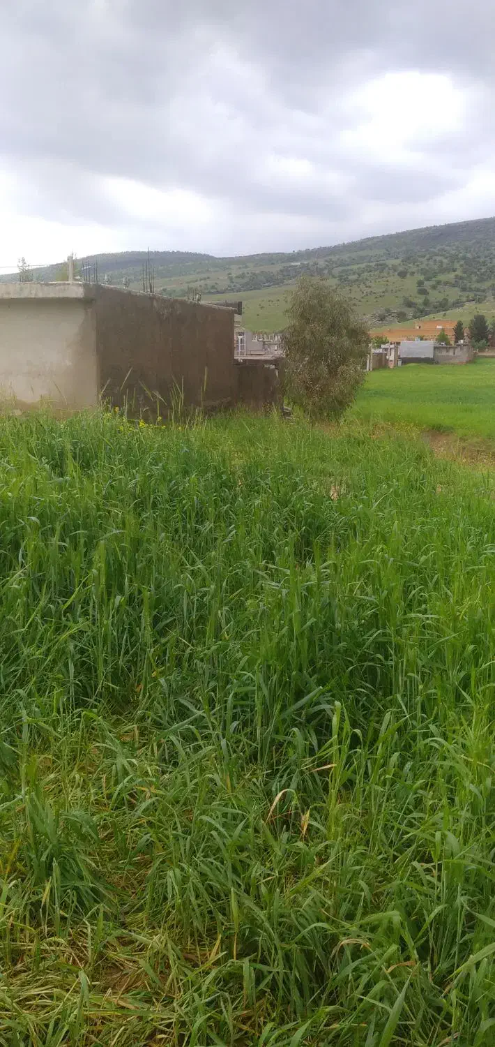 زمین سرابله