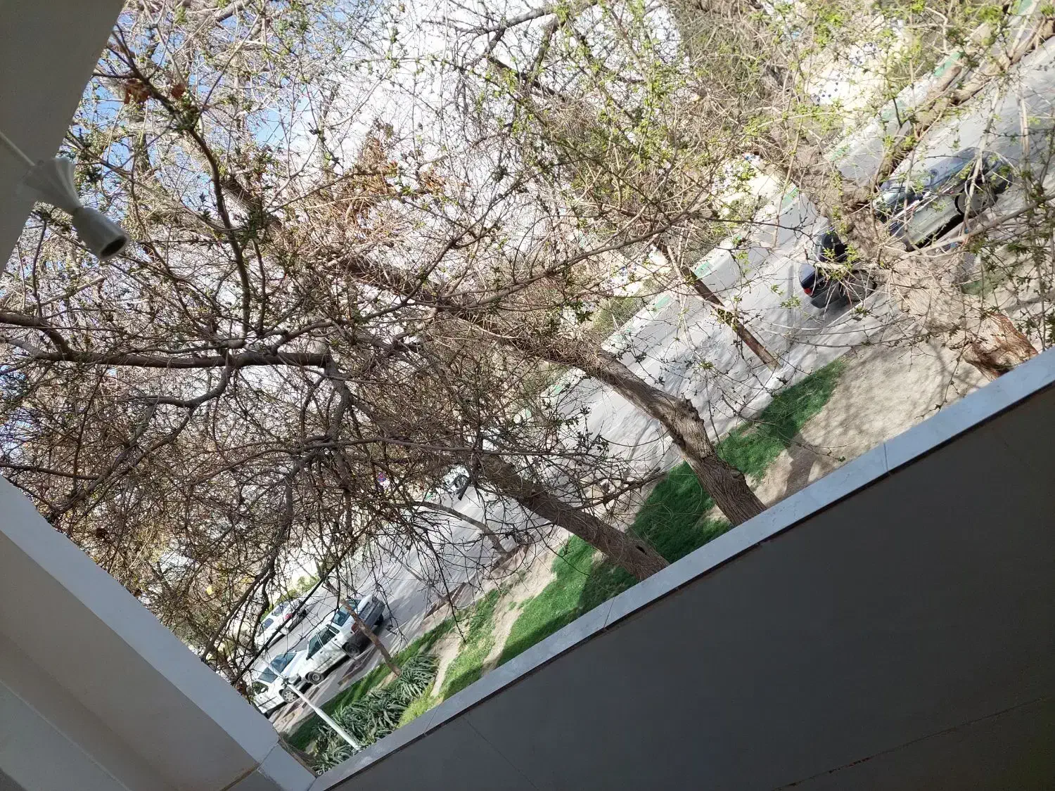 رهن کامل
