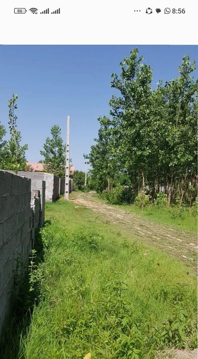 فروش زمین ۱۵۰۰ متری نوخاله
