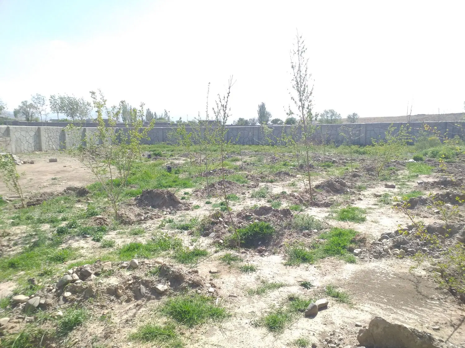 باغ ۴ دیواری قدمت دار کنجینه