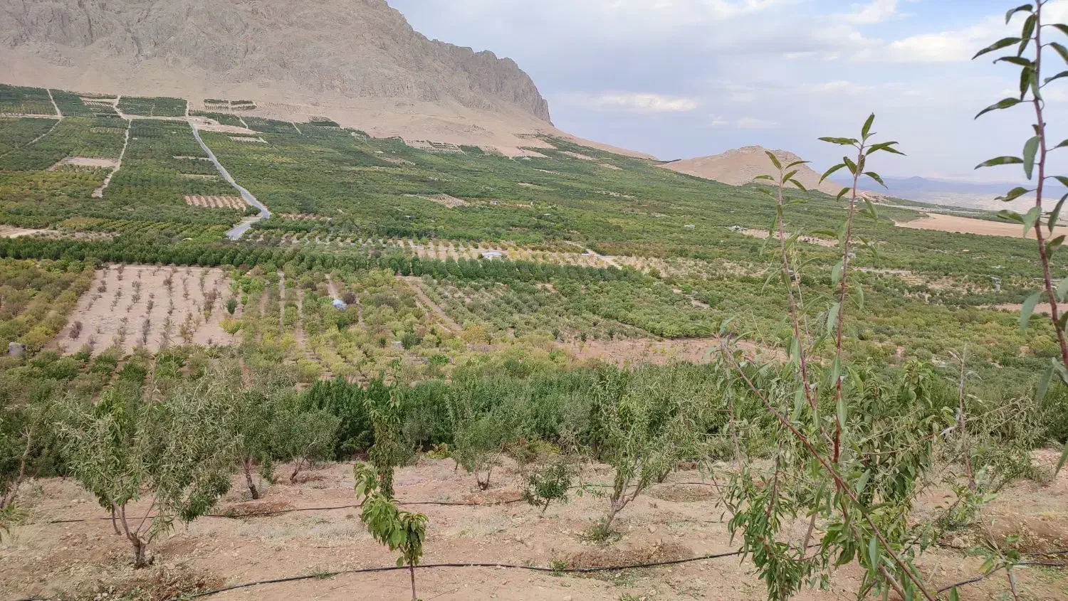 2000متری طرح عمان سامانی