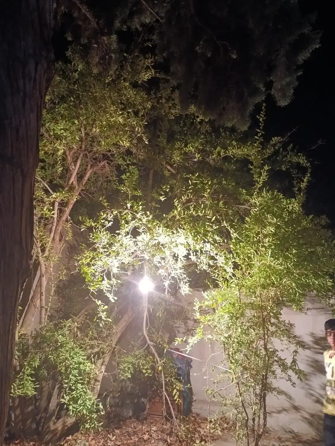 خونه باغ کوچک با آب روان ماهان