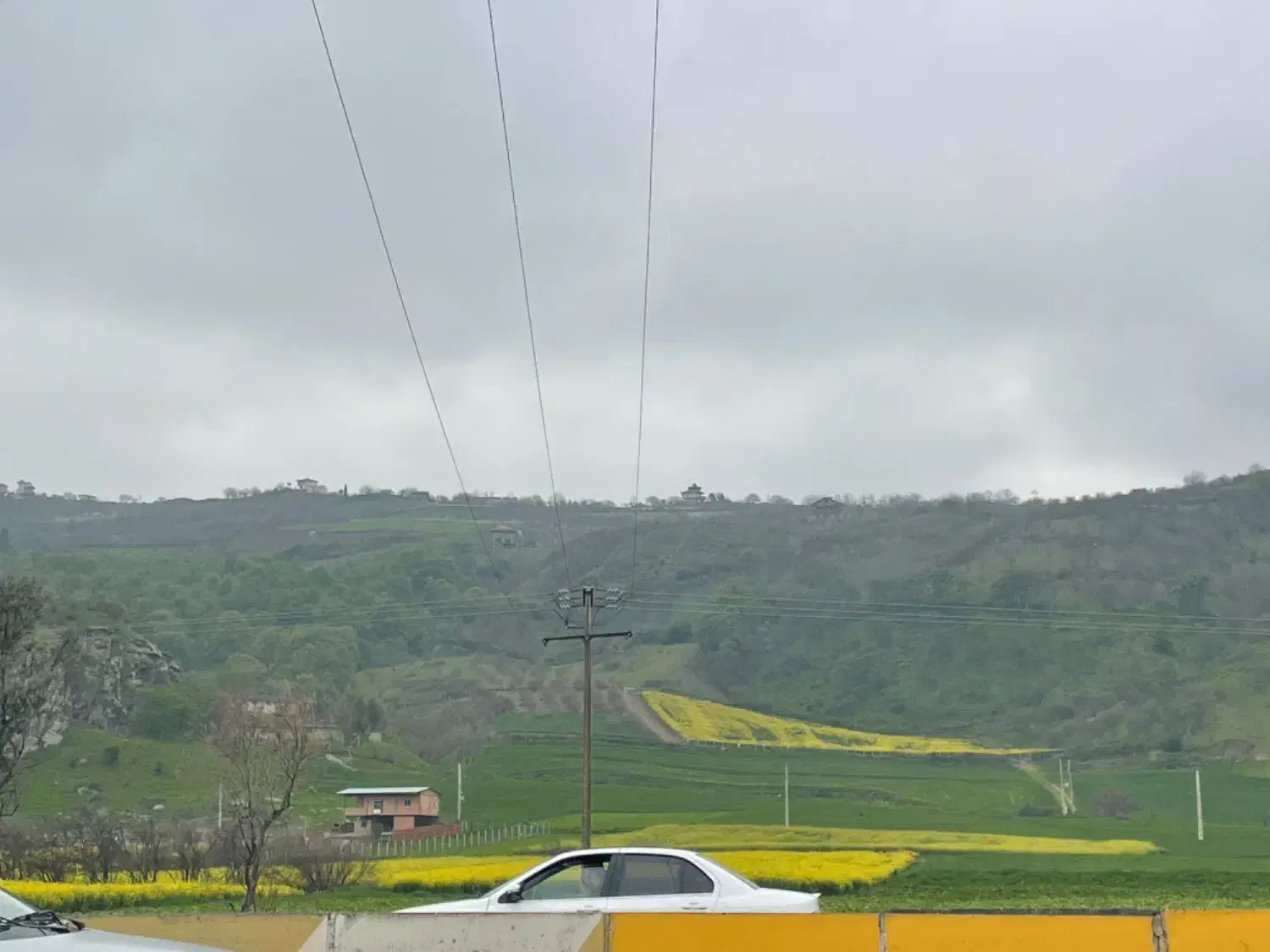فرصت طلایی برای داشتن باغ شخصی