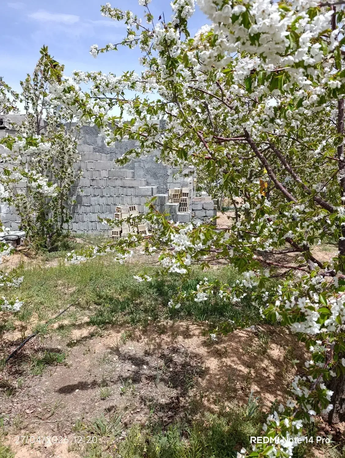 زمین دارای اتاق وفنس