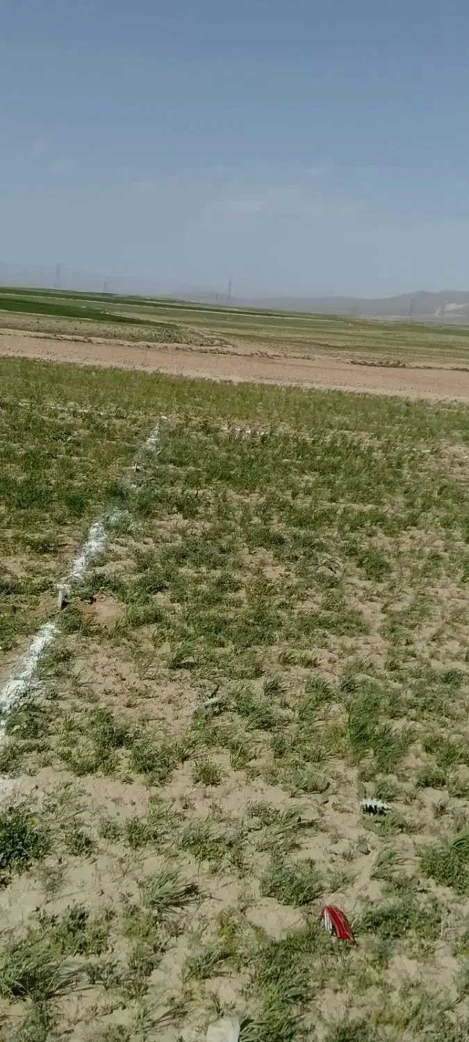 زمین معاوضه