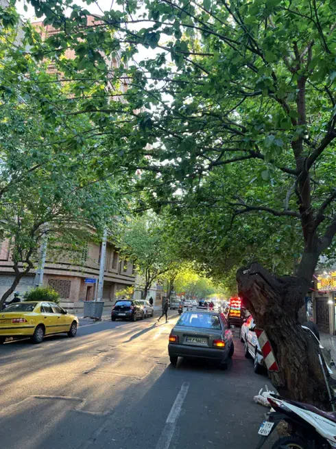 مغازه فروشی ۸متری (ملکیت و سرقفلی)