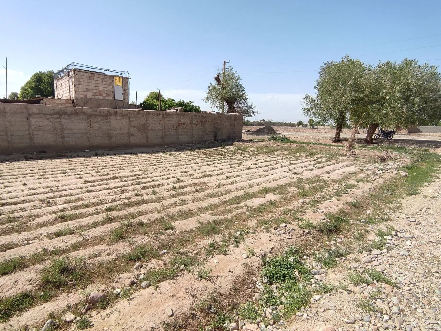 زمین برای باغچه