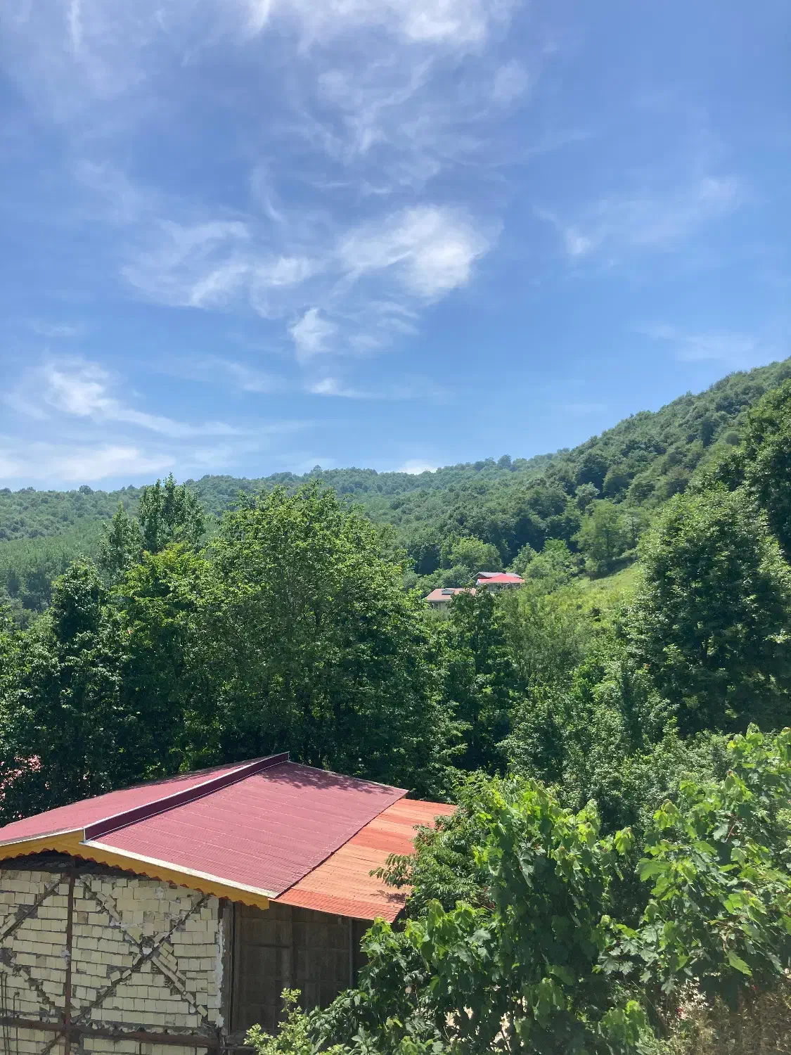 اجاره روزانه ویلاچوبی جنگلی