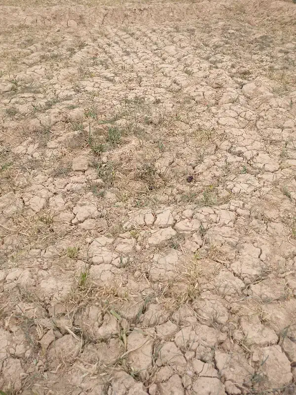 زمین تجاری مسکونی