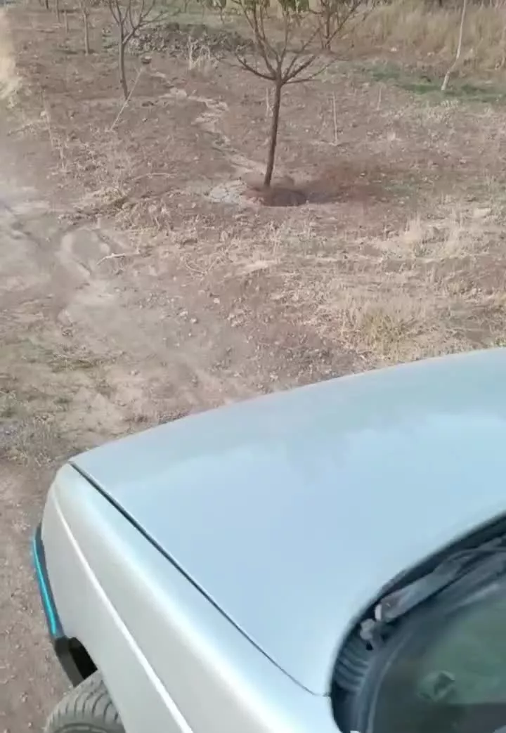 باغ