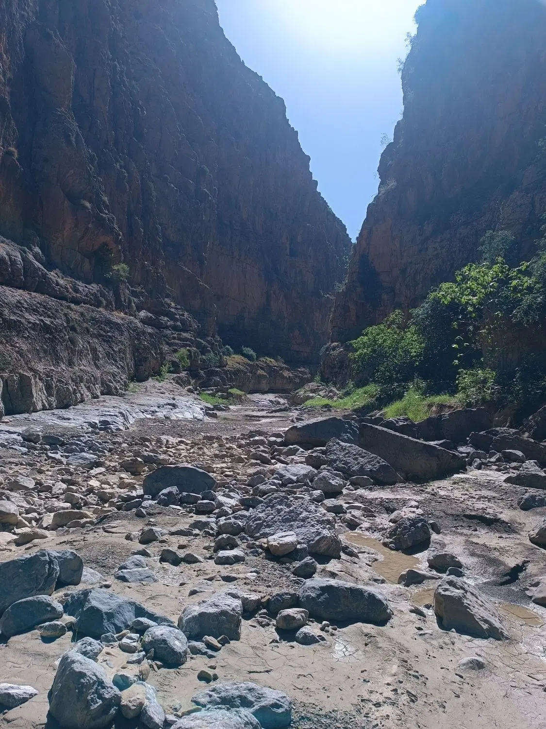 زمین