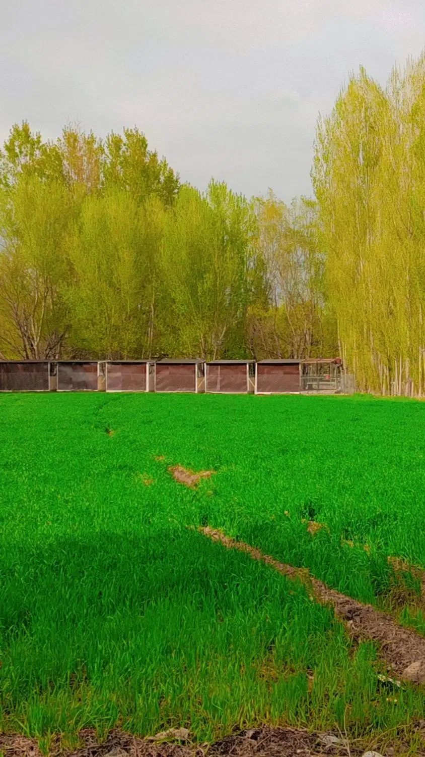 فروش زمین