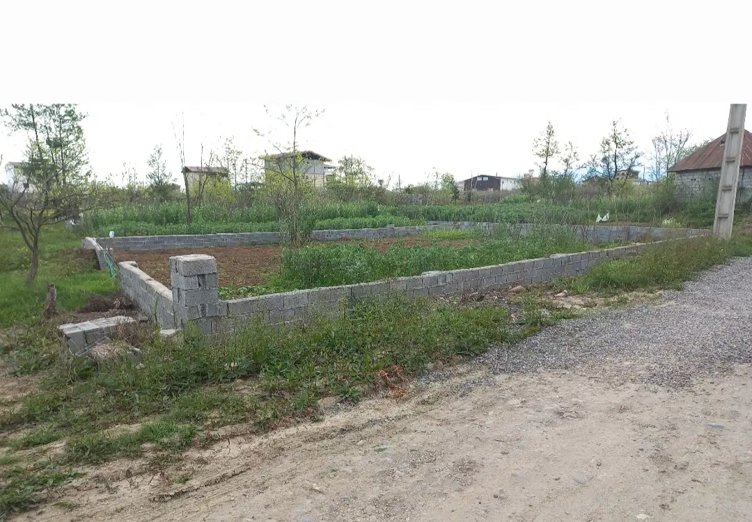 زمین ۲۰۵