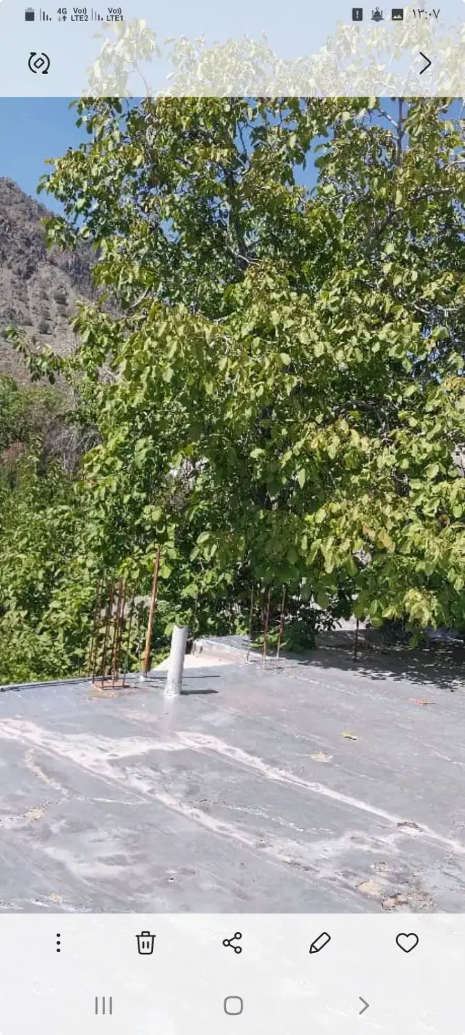 ویلا باغ دلفارد دروا تک برگ