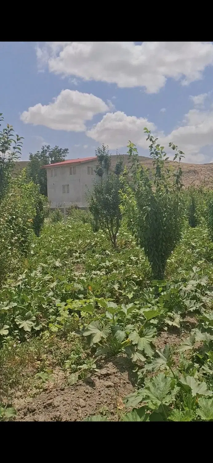 معاوضه۴هزار متر باغ بر جاده