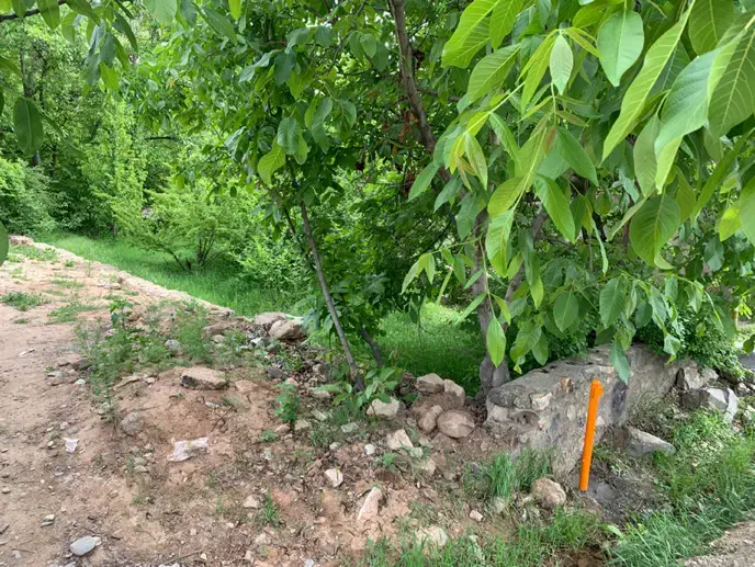 زمین باغی در بوژان نیشابور ۲۰۰ متر