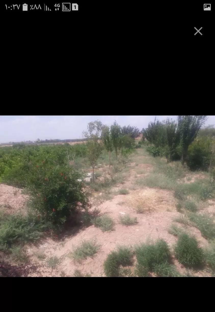 باغ ۱۰۰۰متری دولت آباد