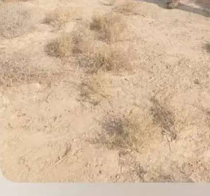 300 متر زمین ۴دیواری داخل بافت دو بهر ۱۸ متری