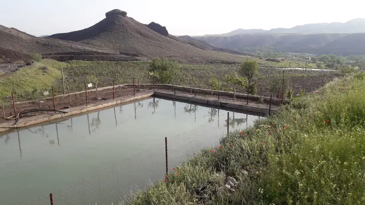 باغ ۴۰۰۰۰متری باچاه پروانه دار و استخر۱۲۰۰،۰۰۰ لی