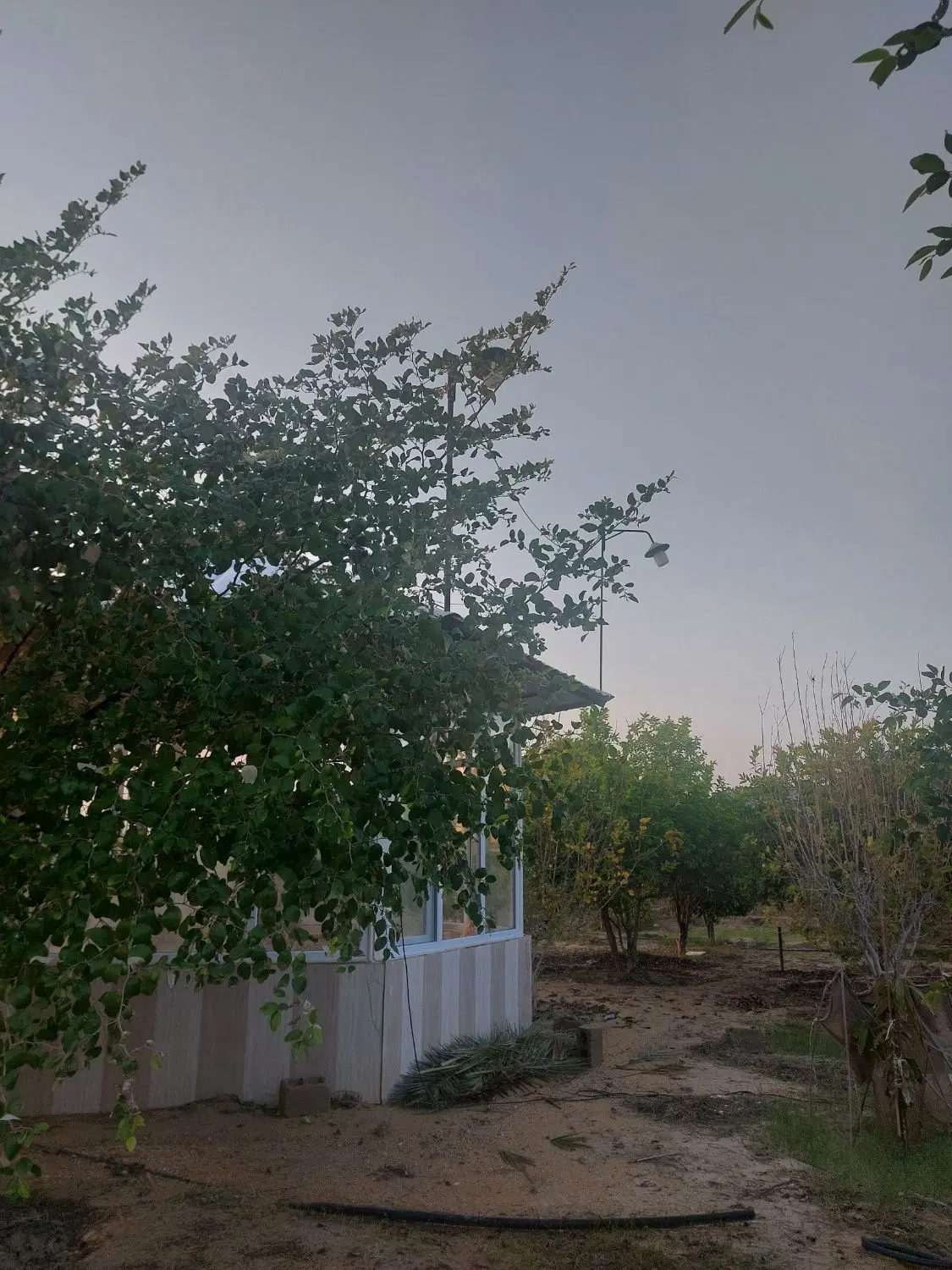 فروش خانه باغ توریان