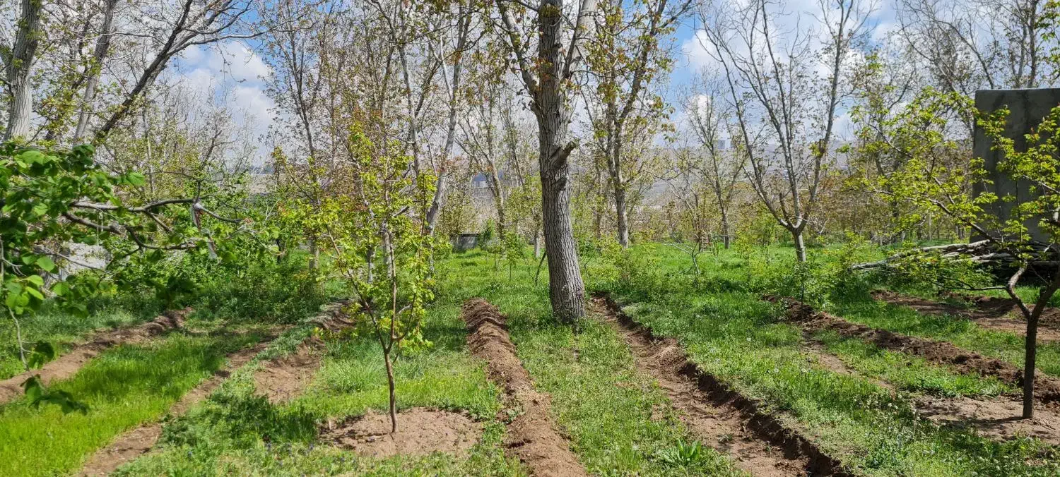 باغ زیبا در نزدیکی جاده اسکو