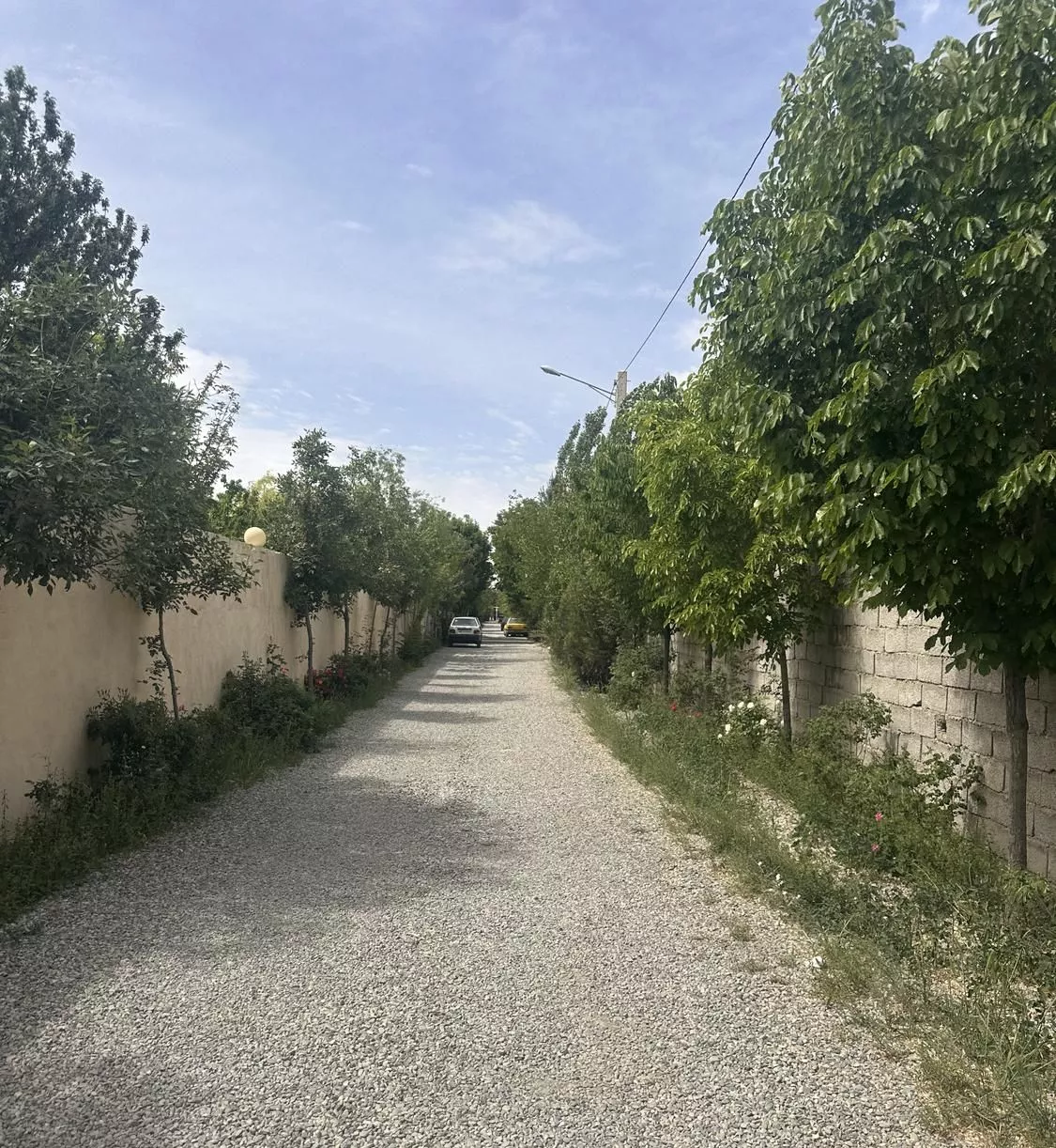 800 متر باغچه بر خیابان ۴ خدایار خان چهار دیواری
