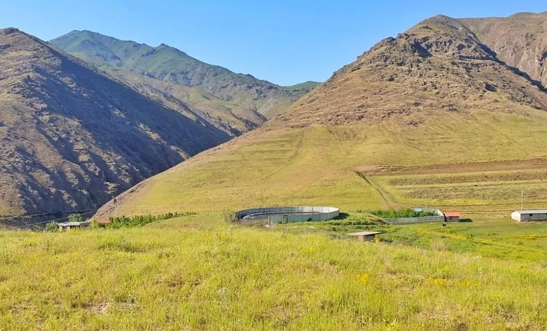 ۱۰۰۰ متر زمین واقع در طالقان با چشمه اختصاصی