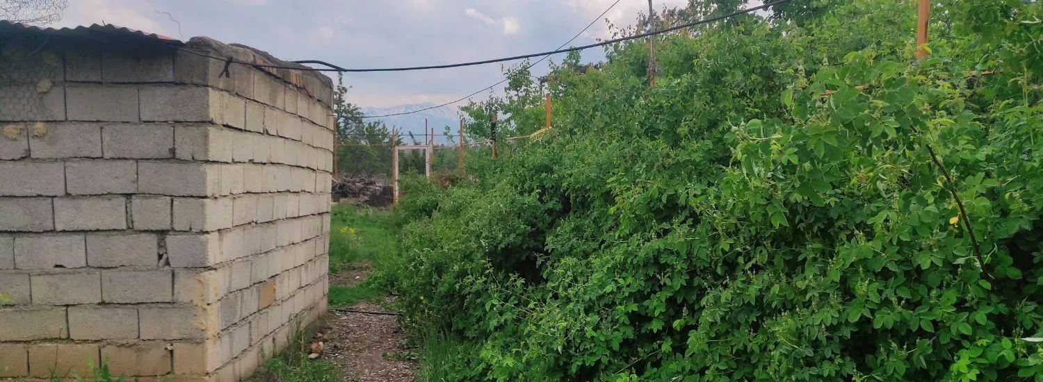 فروش باغ در اراضی دیزج یکان مرند